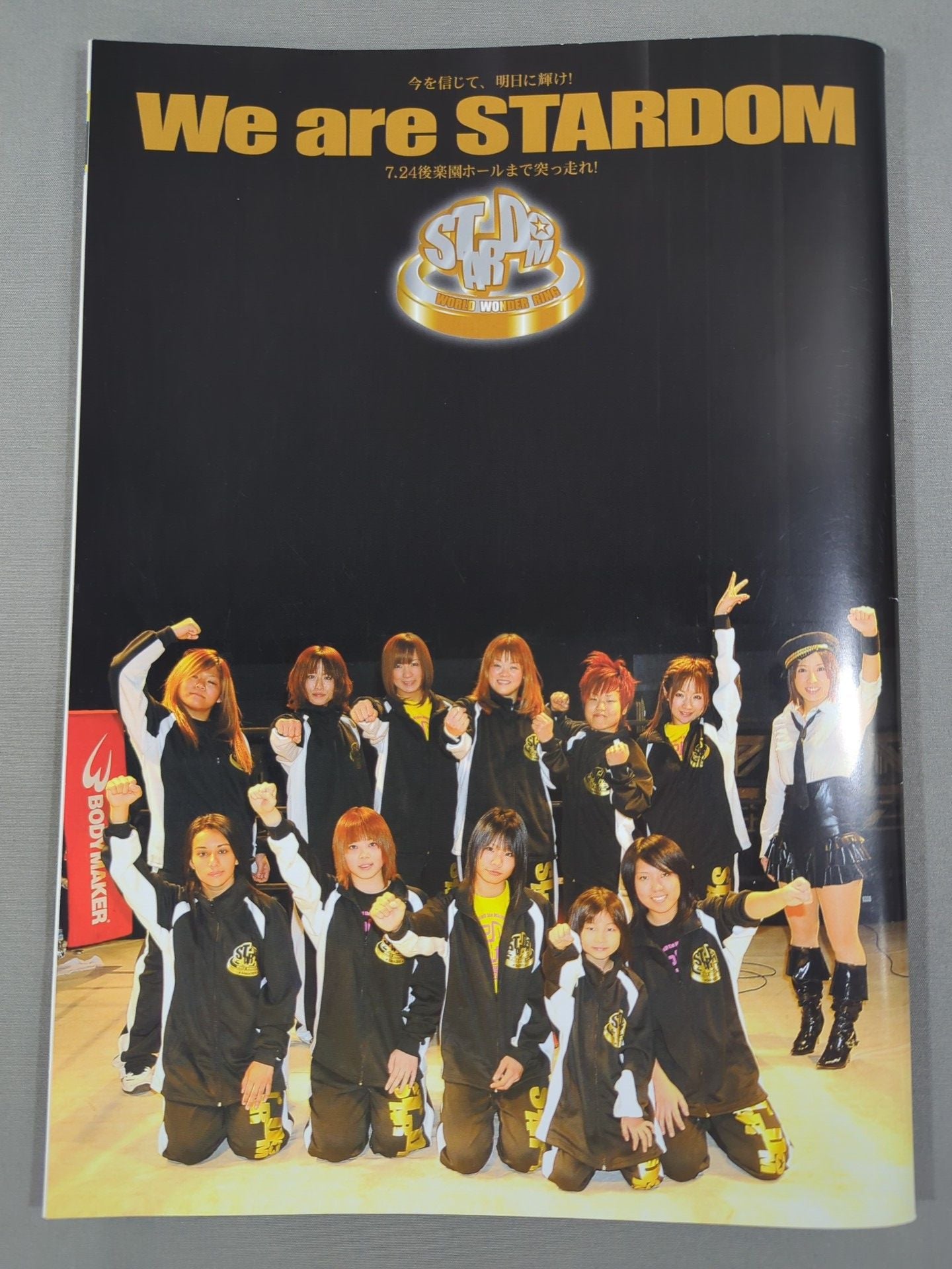 STARDOM OFFICIAL GUIDE BOOK Vol.2
