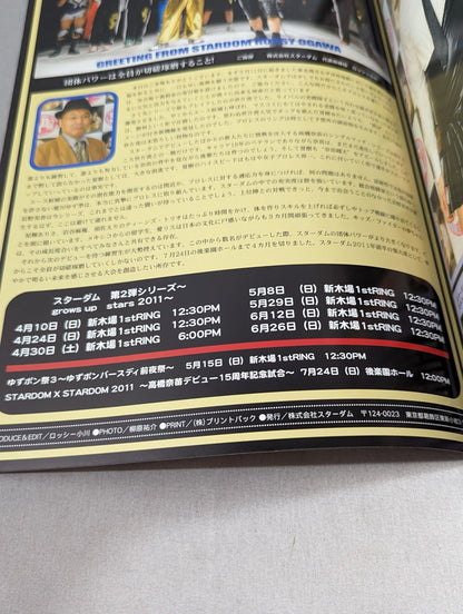 STARDOM OFFICIAL GUIDE BOOK Vol.3