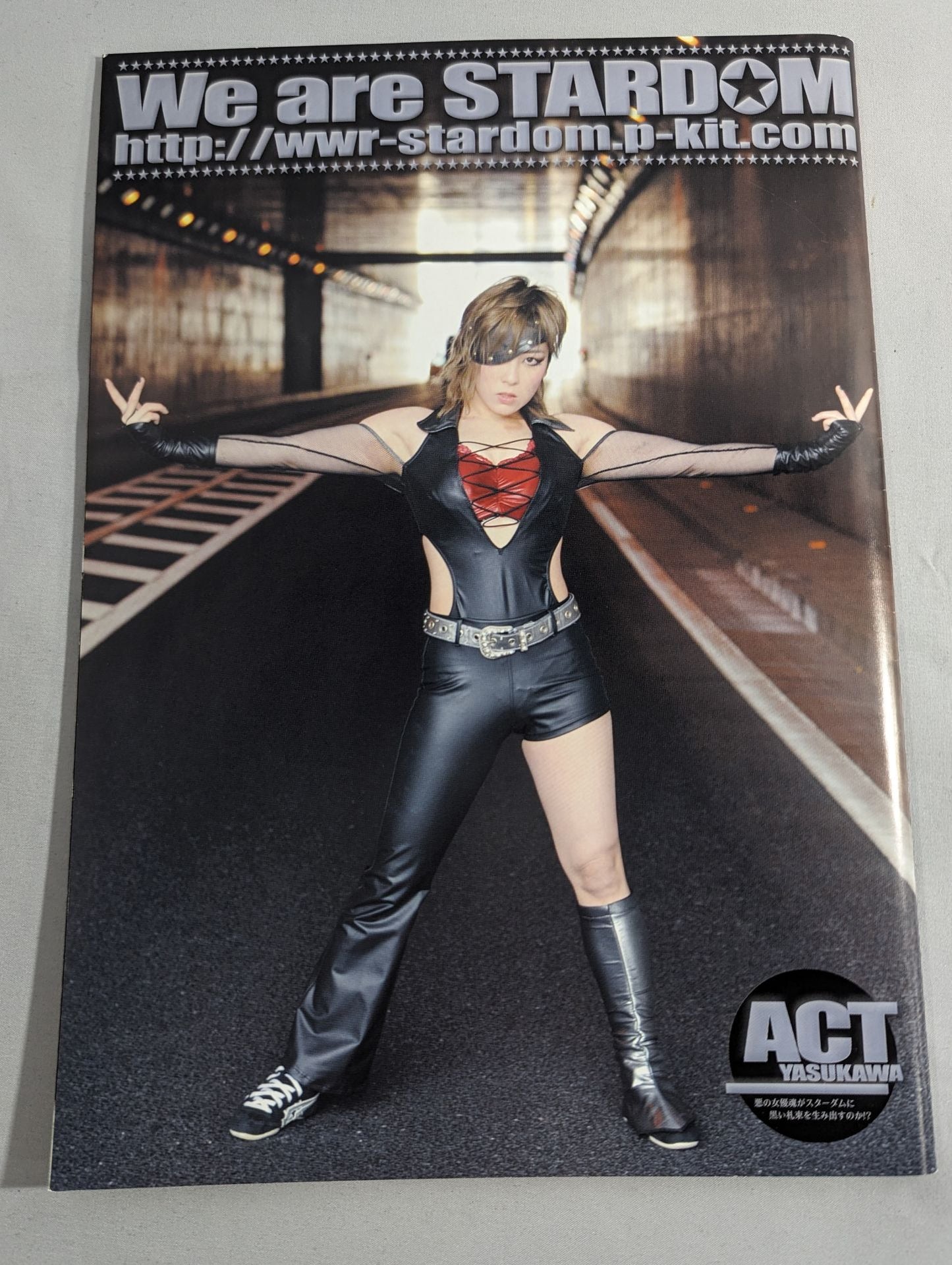 STARDOM OFFICIAL GUIDE BOOK Vol.12