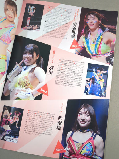 STARDOM OFFICIAL GUIDE BOOK Vol.145