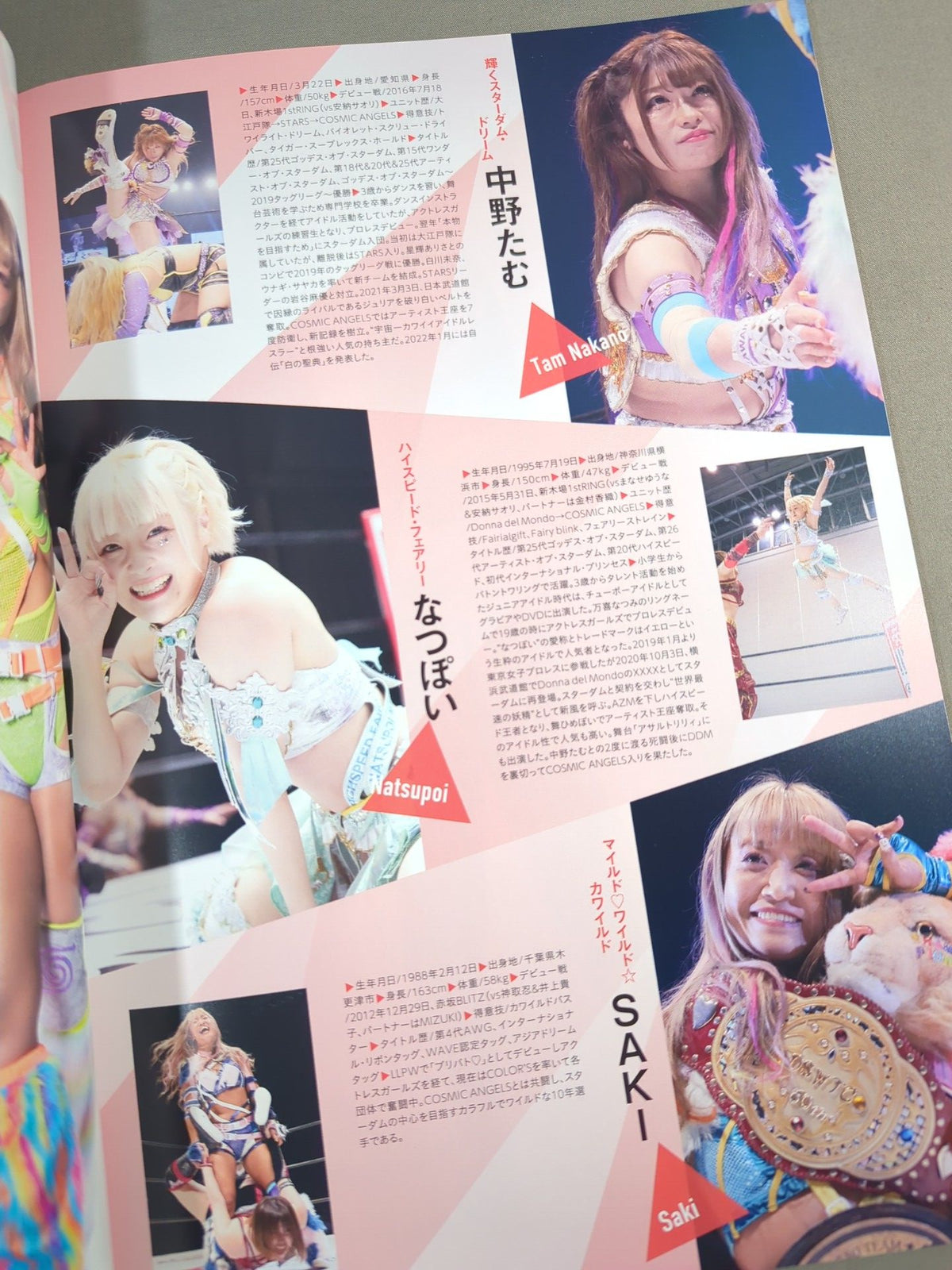 STARDOM OFFICIAL GUIDE BOOK Vol.145