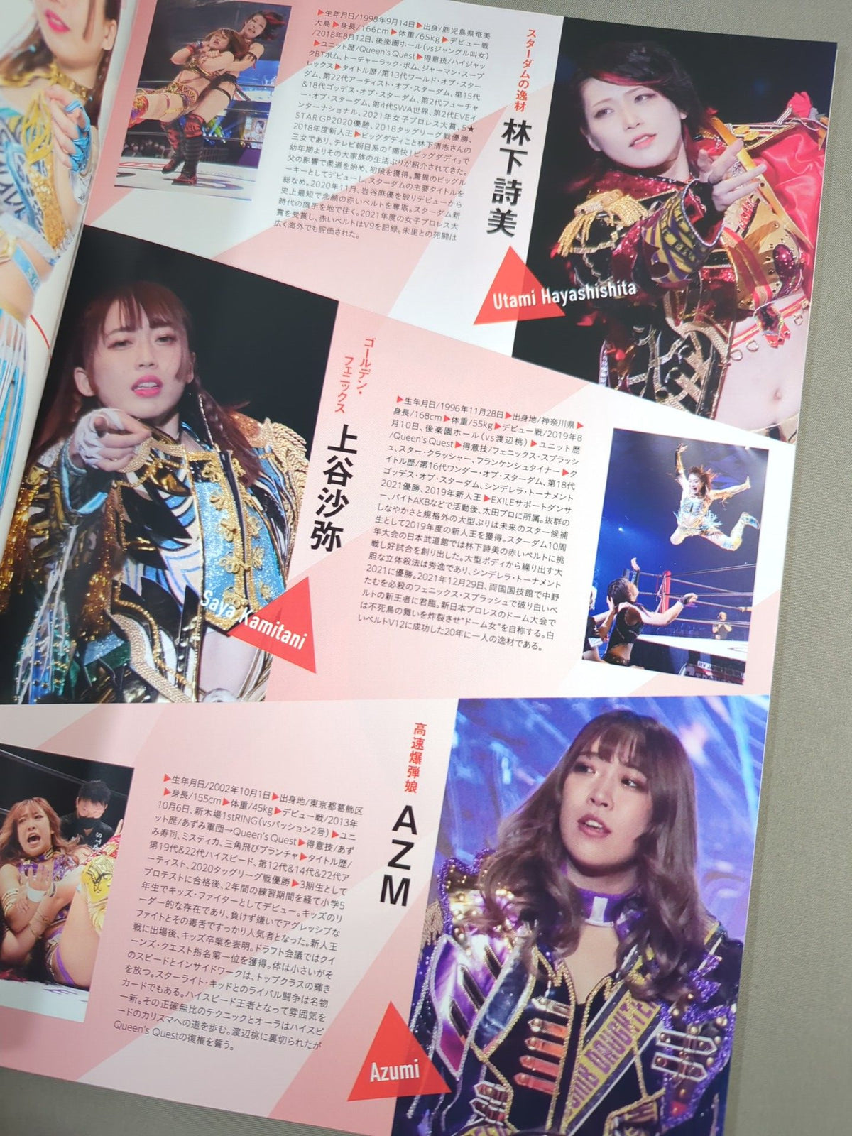 STARDOM OFFICIAL GUIDE BOOK Vol.145