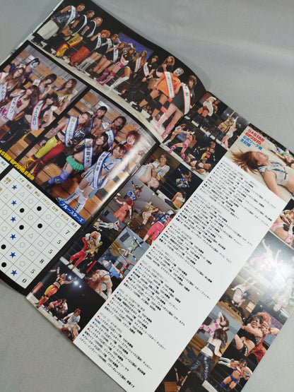 STARDOM OFFICIAL GUIDE BOOK Vol.66