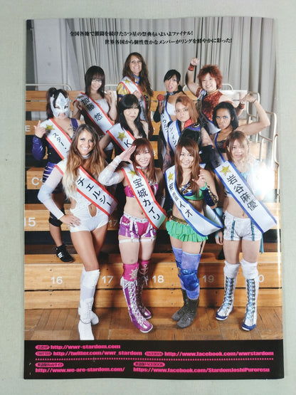 STARDOM OFFICIAL GUIDE BOOK Vol.66