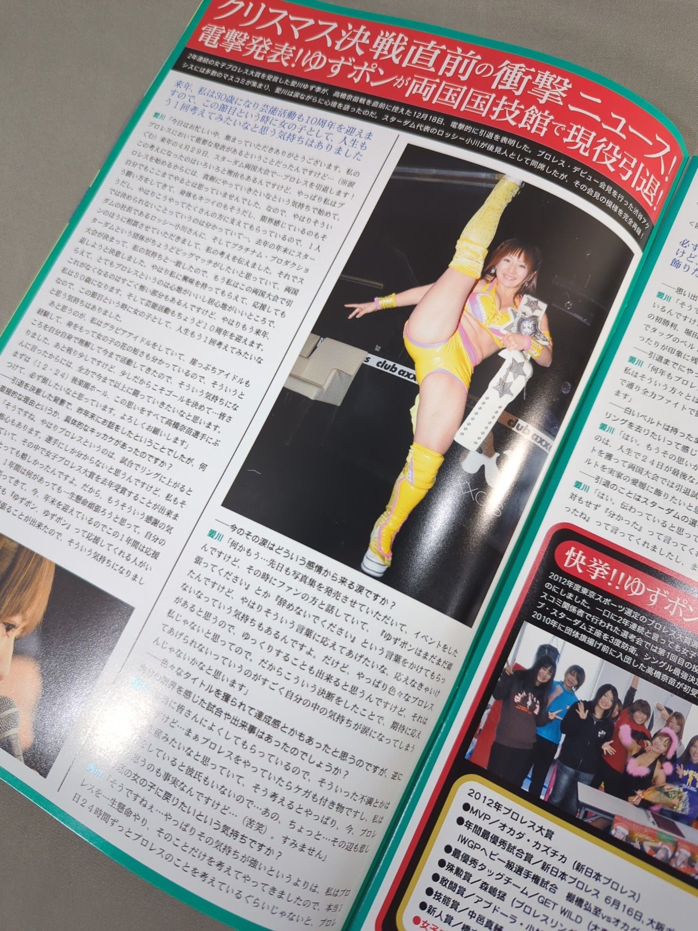STARDOM OFFICIAL GUIDE BOOK Vol.25