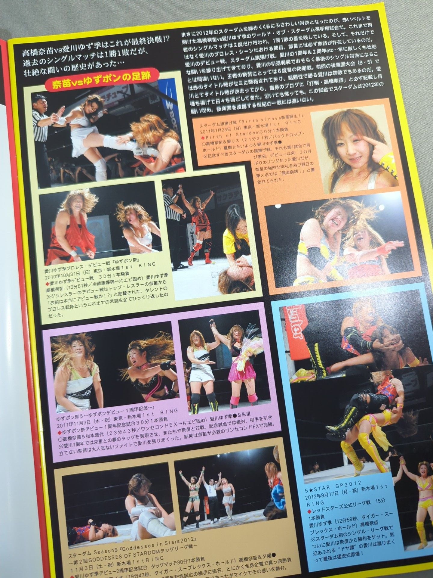 STARDOM OFFICIAL GUIDE BOOK Vol.25