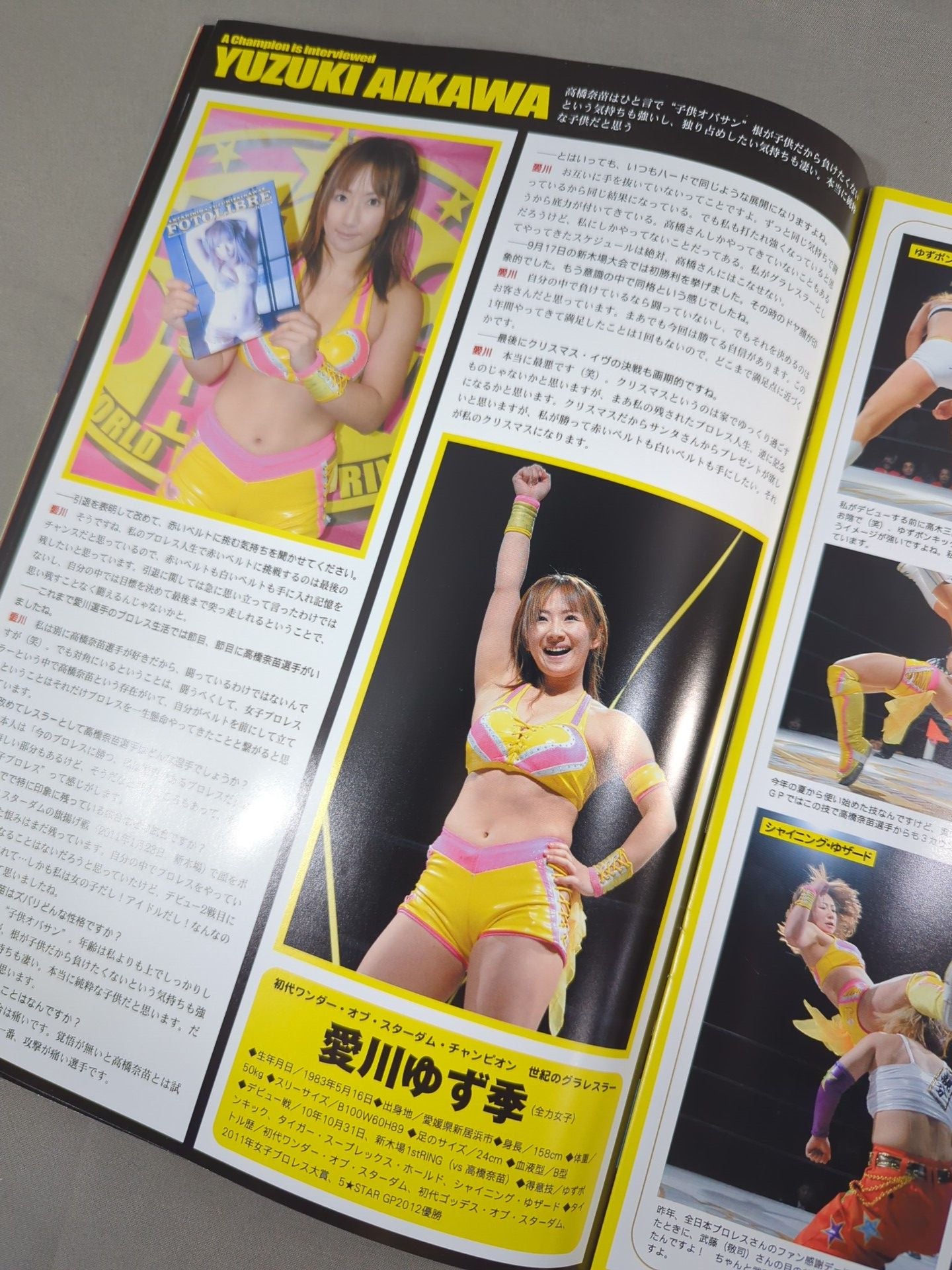 STARDOM OFFICIAL GUIDE BOOK Vol.25