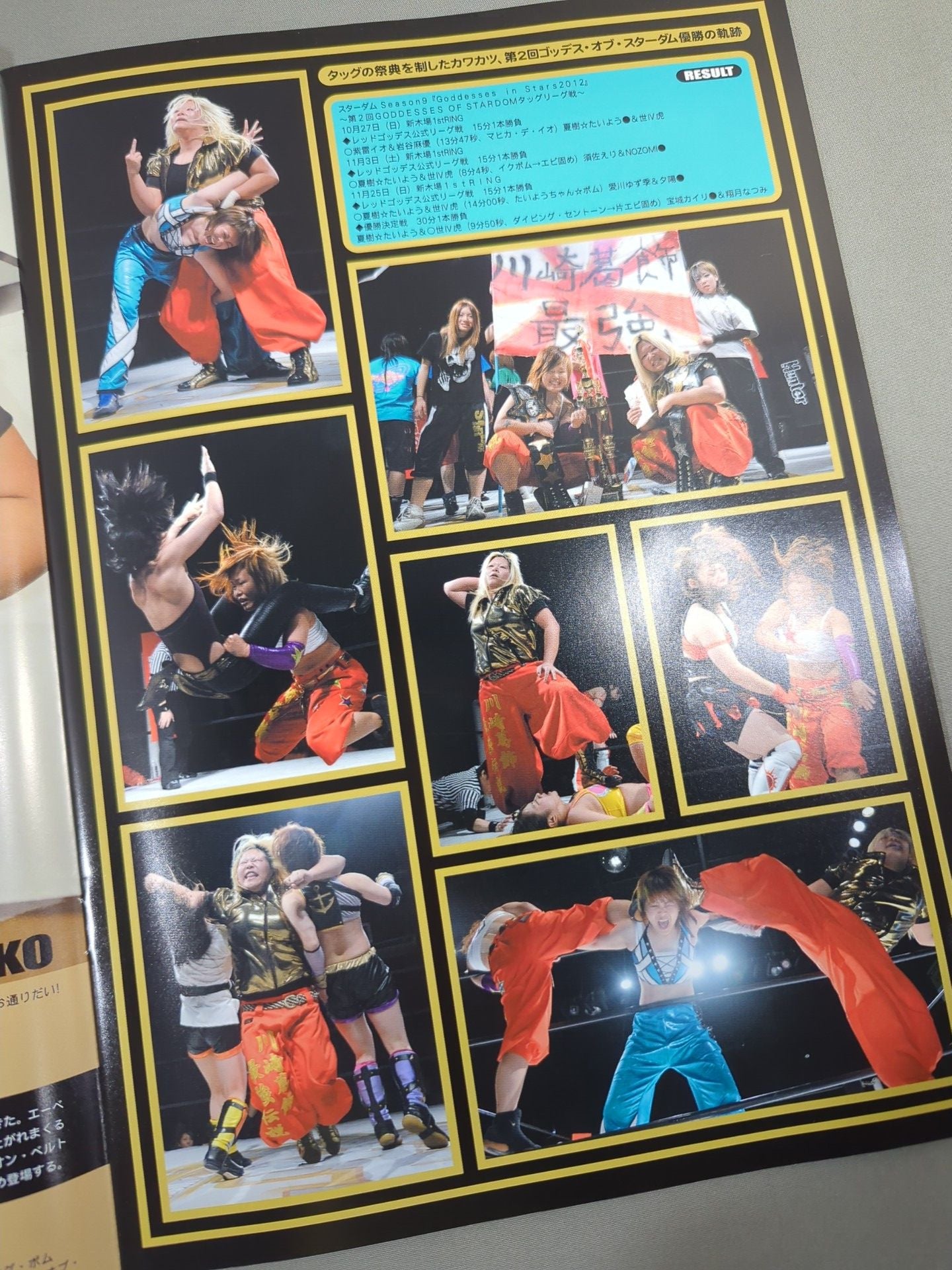 STARDOM OFFICIAL GUIDE BOOK Vol.25