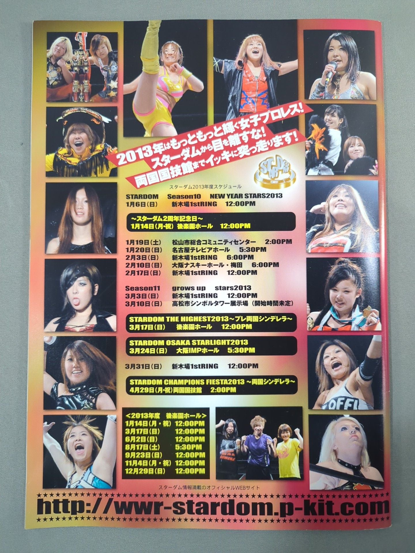 STARDOM OFFICIAL GUIDE BOOK Vol.25