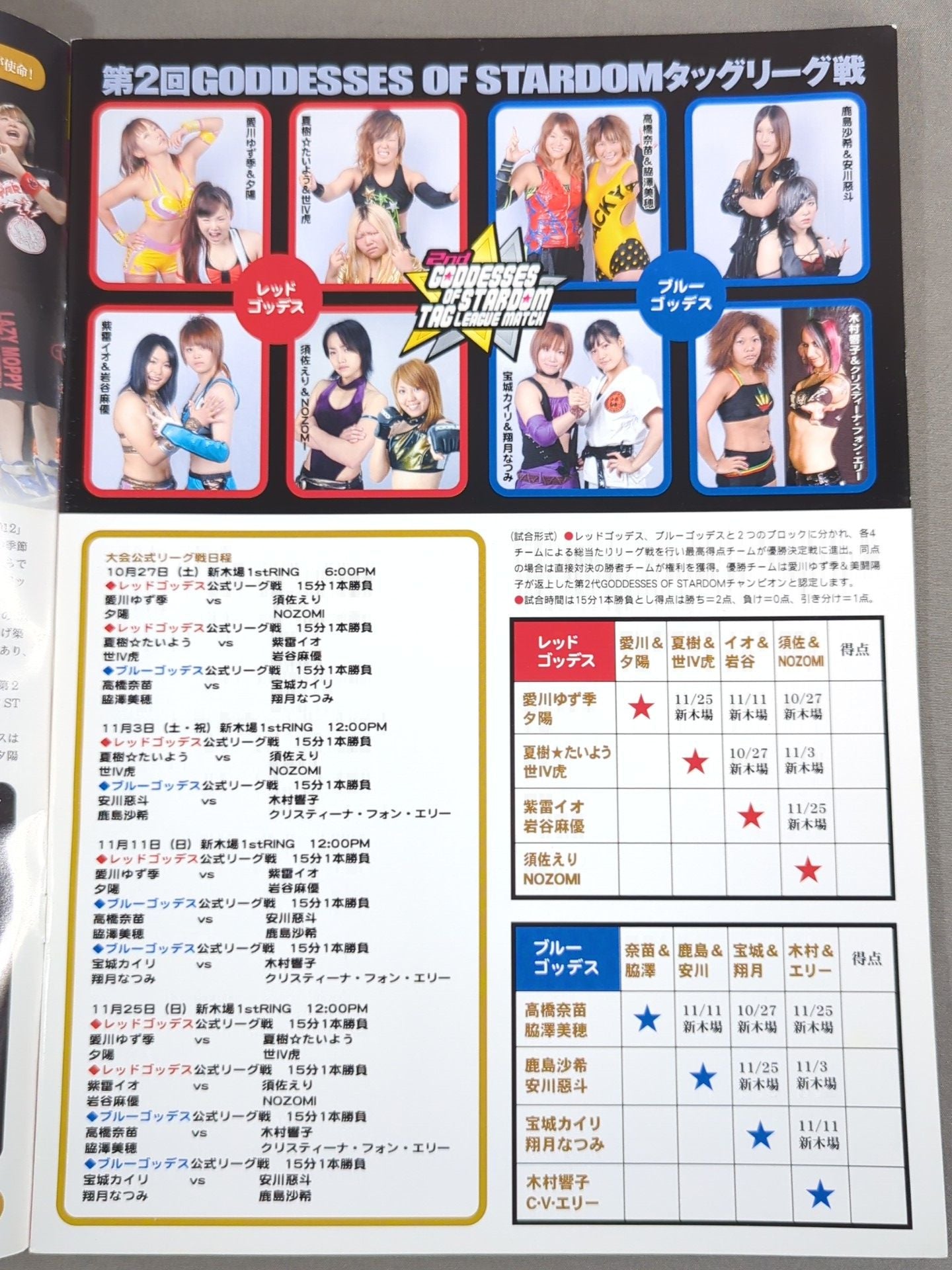 STARDOM OFFICIAL GUIDE BOOK Vol.23