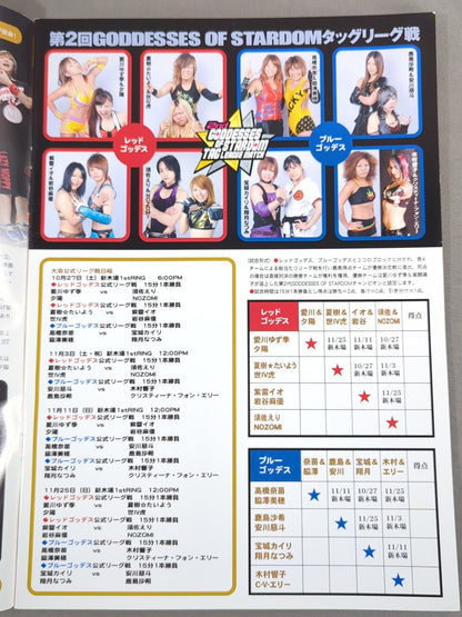 STARDOM OFFICIAL GUIDE BOOK Vol.23