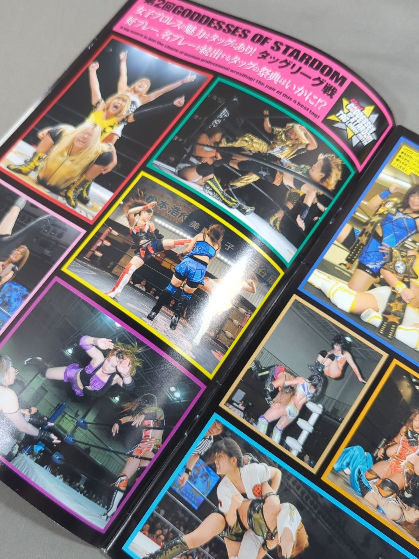 STARDOM OFFICIAL GUIDE BOOK Vol.23