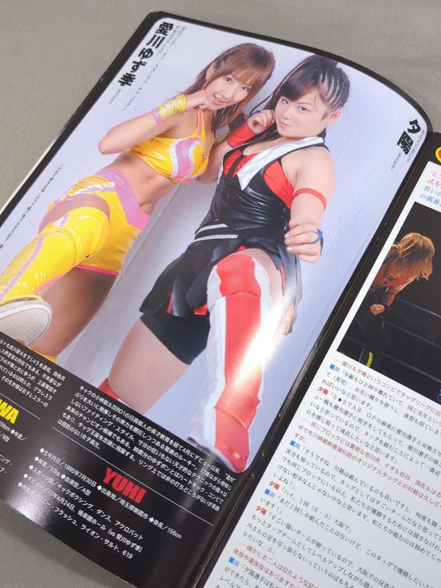 STARDOM OFFICIAL GUIDE BOOK Vol.23