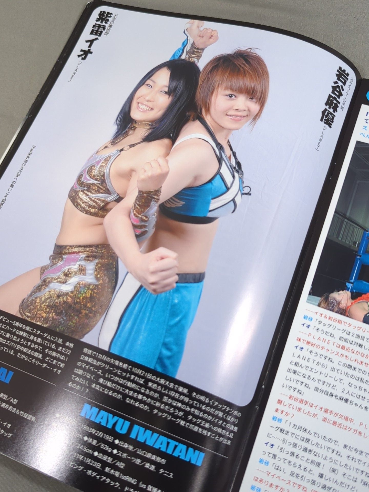 STARDOM OFFICIAL GUIDE BOOK Vol.23