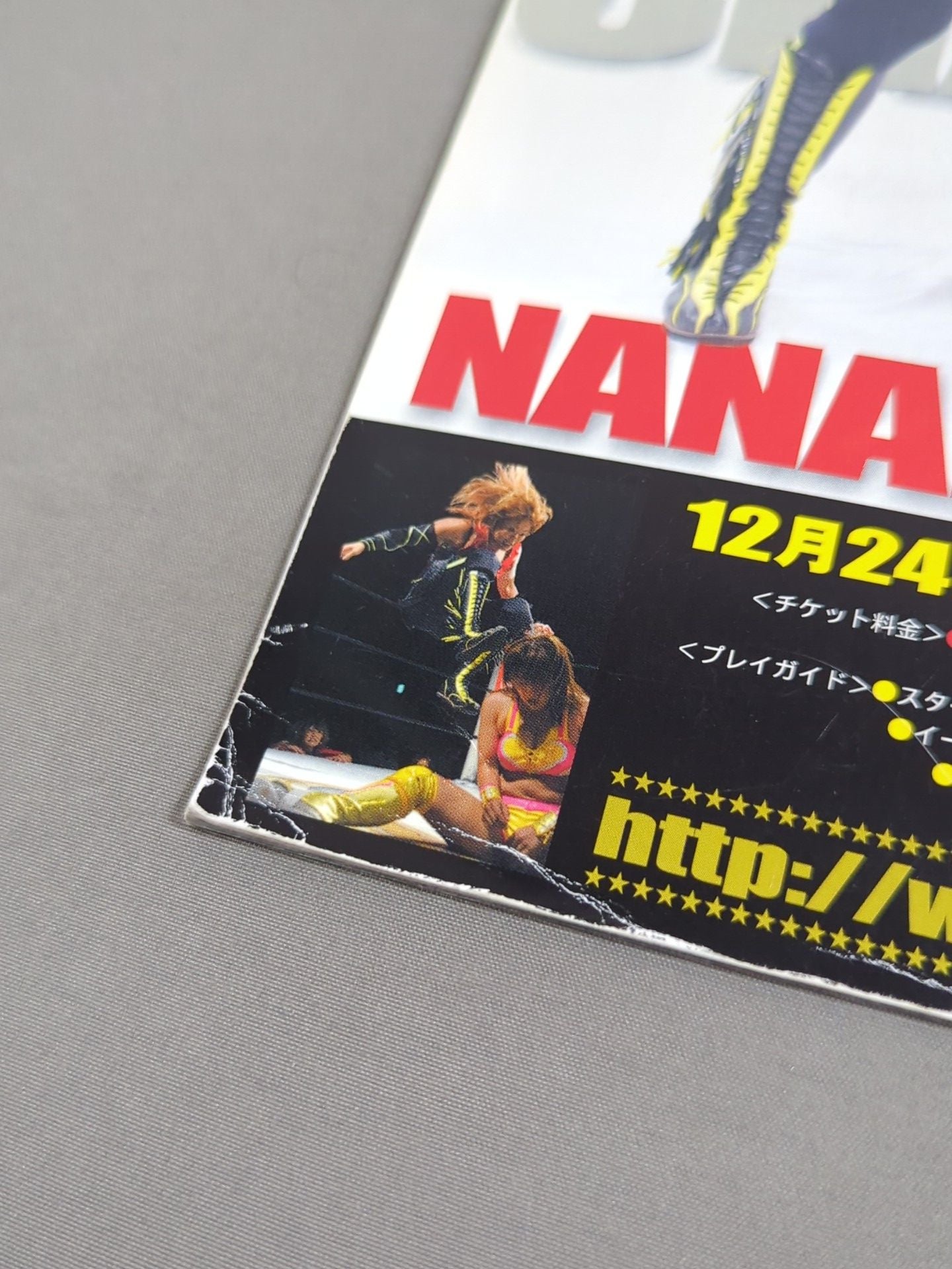 STARDOM OFFICIAL GUIDE BOOK Vol.23