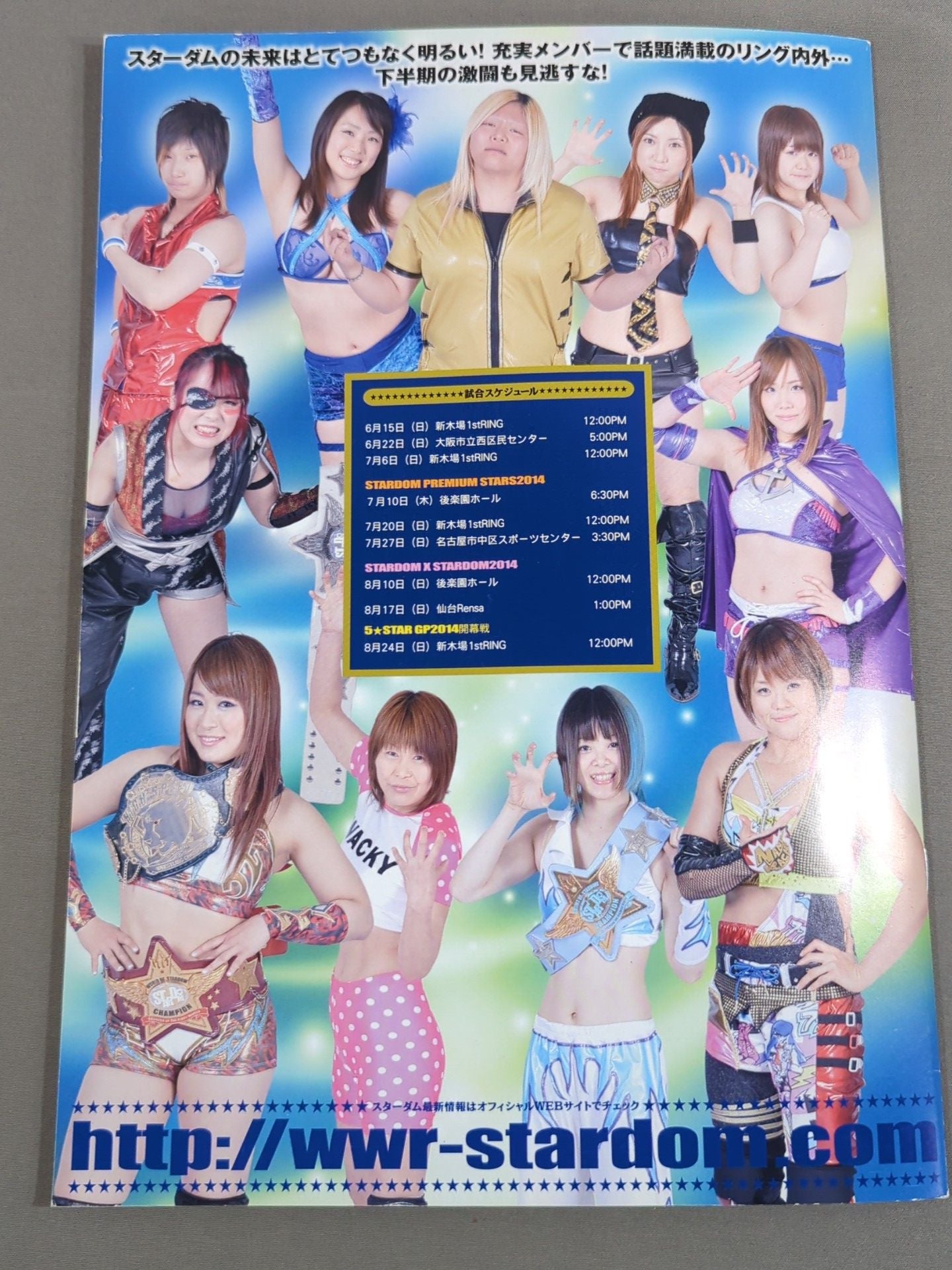 STARDOM OFFICIAL GUIDE BOOK Vol.46