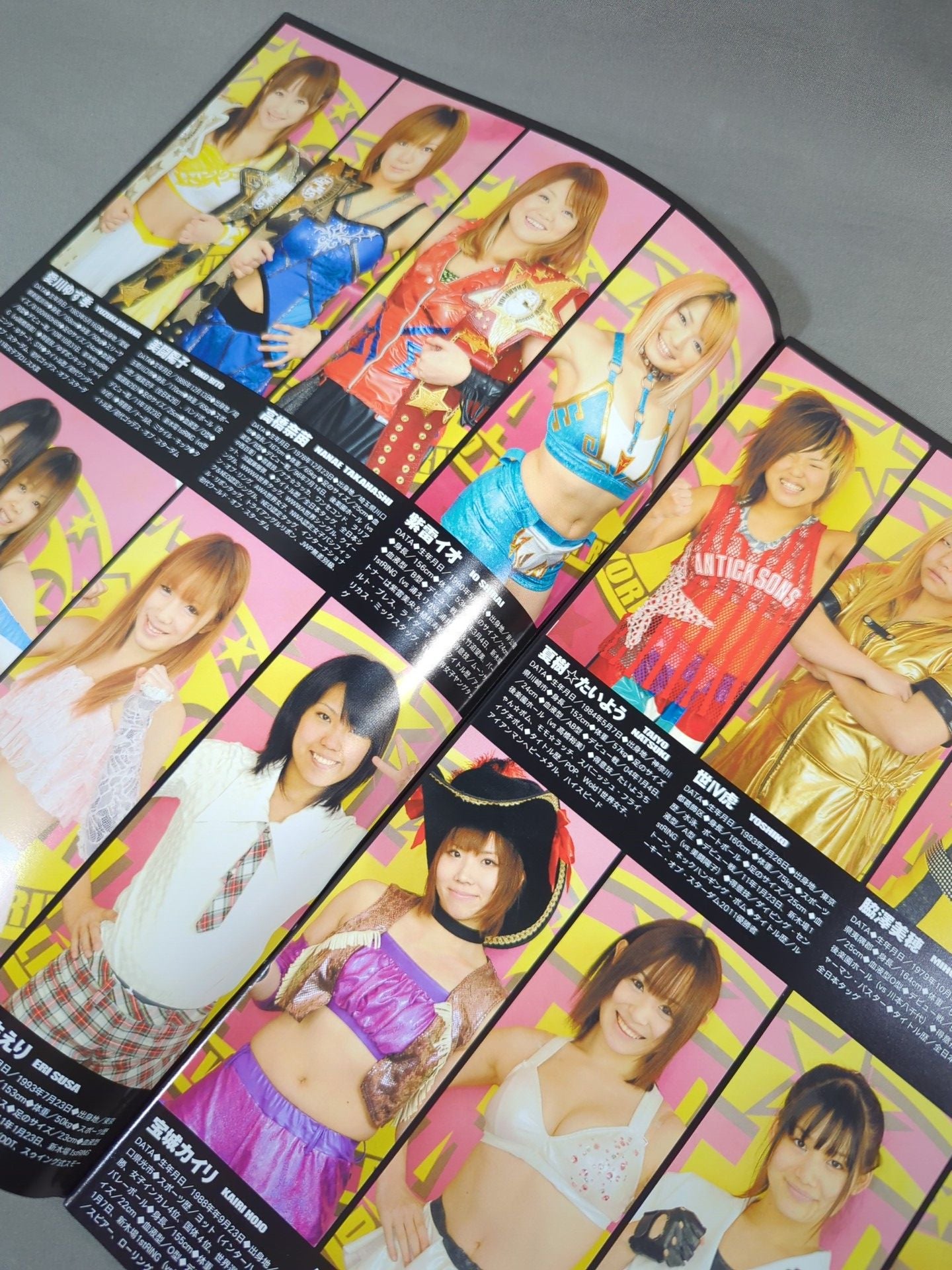 STARDOM OFFICIAL GUIDE BOOK Vol.10