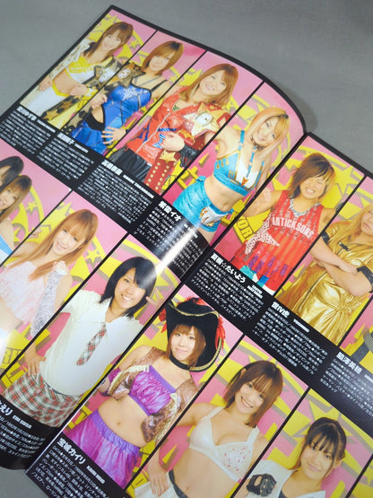 STARDOM OFFICIAL GUIDE BOOK Vol.10
