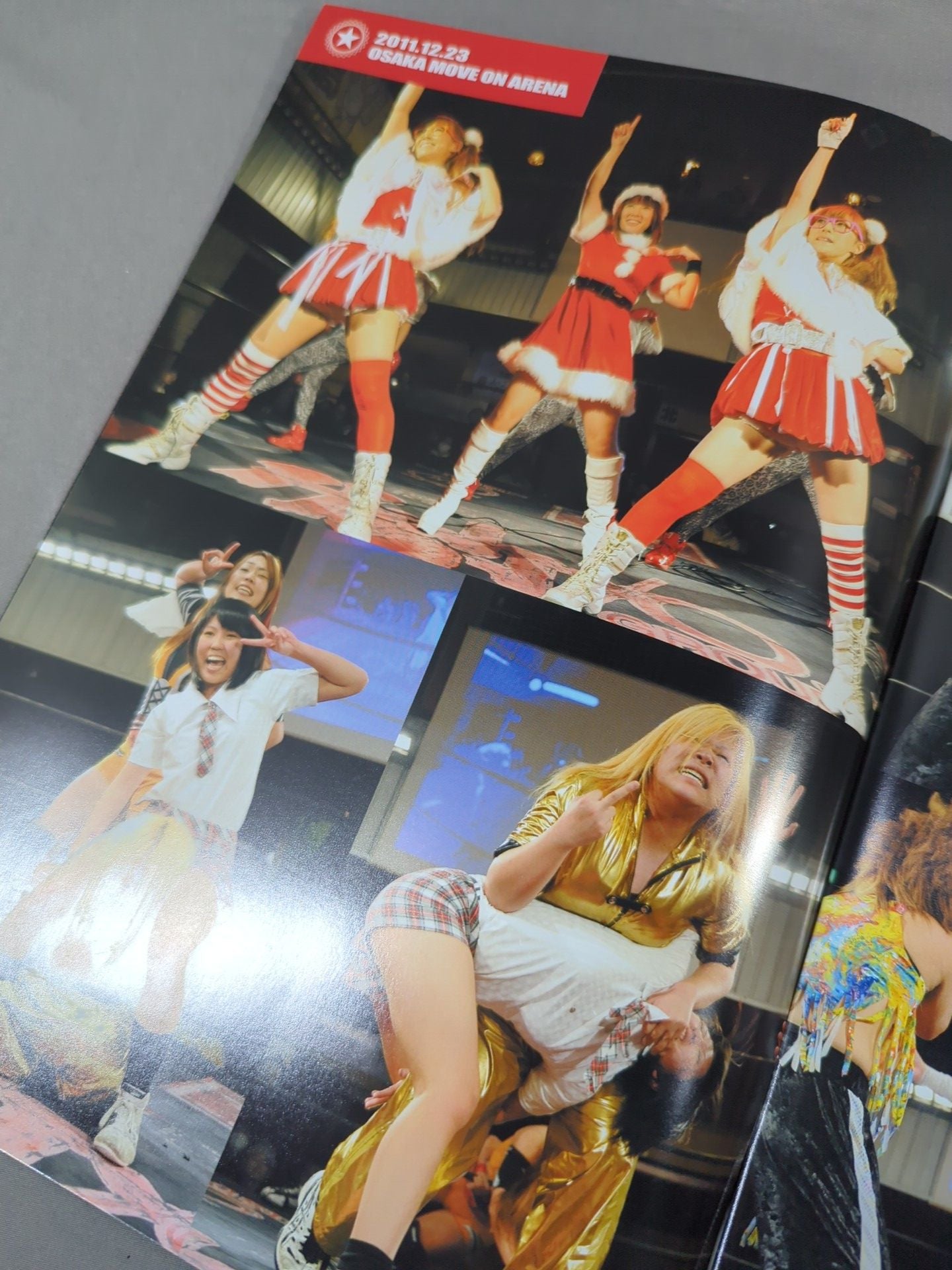 STARDOM OFFICIAL GUIDE BOOK Vol.10