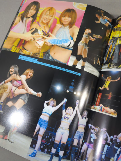 STARDOM OFFICIAL GUIDE BOOK Vol.10