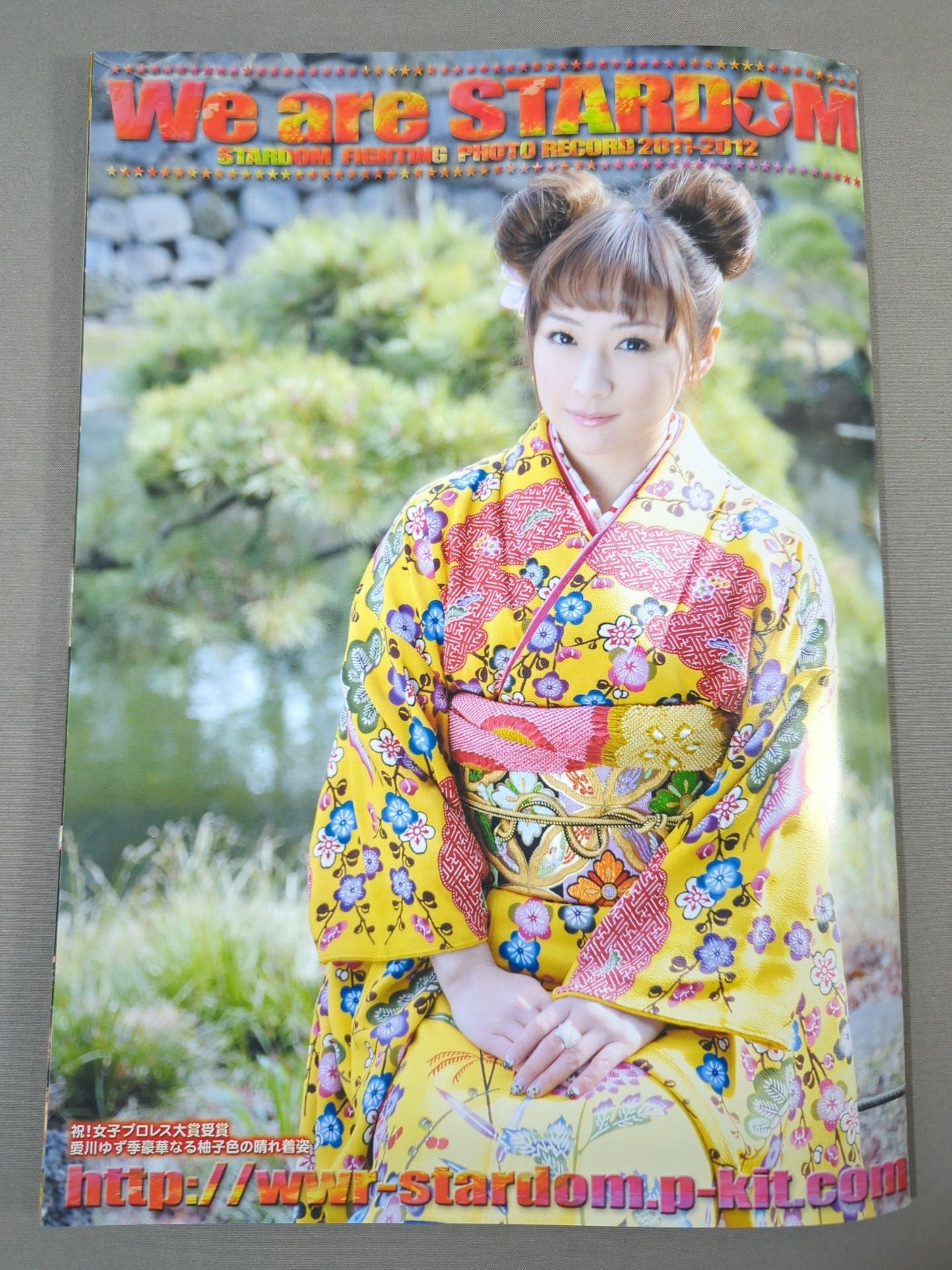 STARDOM OFFICIAL GUIDE BOOK Vol.10