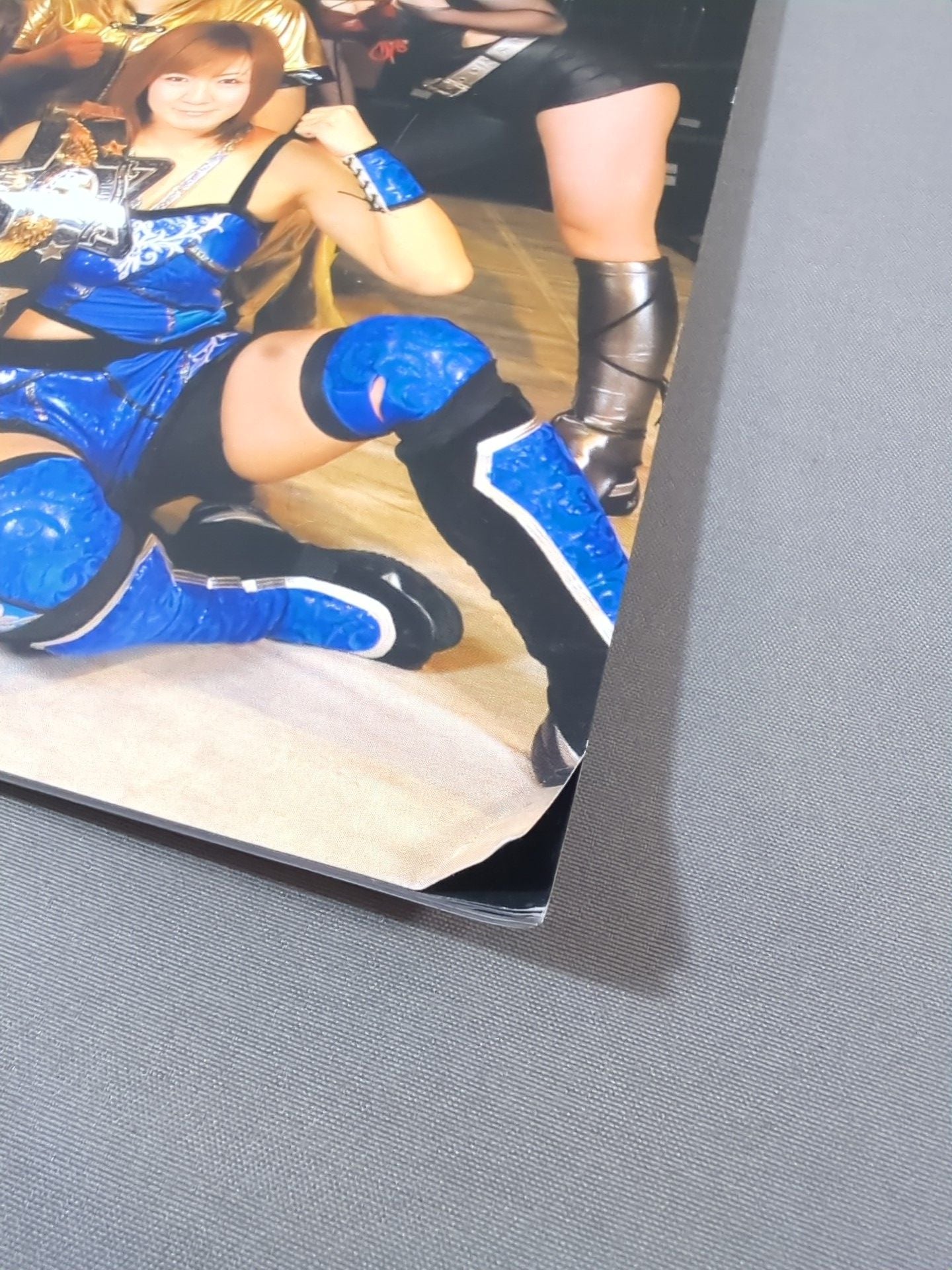 STARDOM OFFICIAL GUIDE BOOK Vol.10