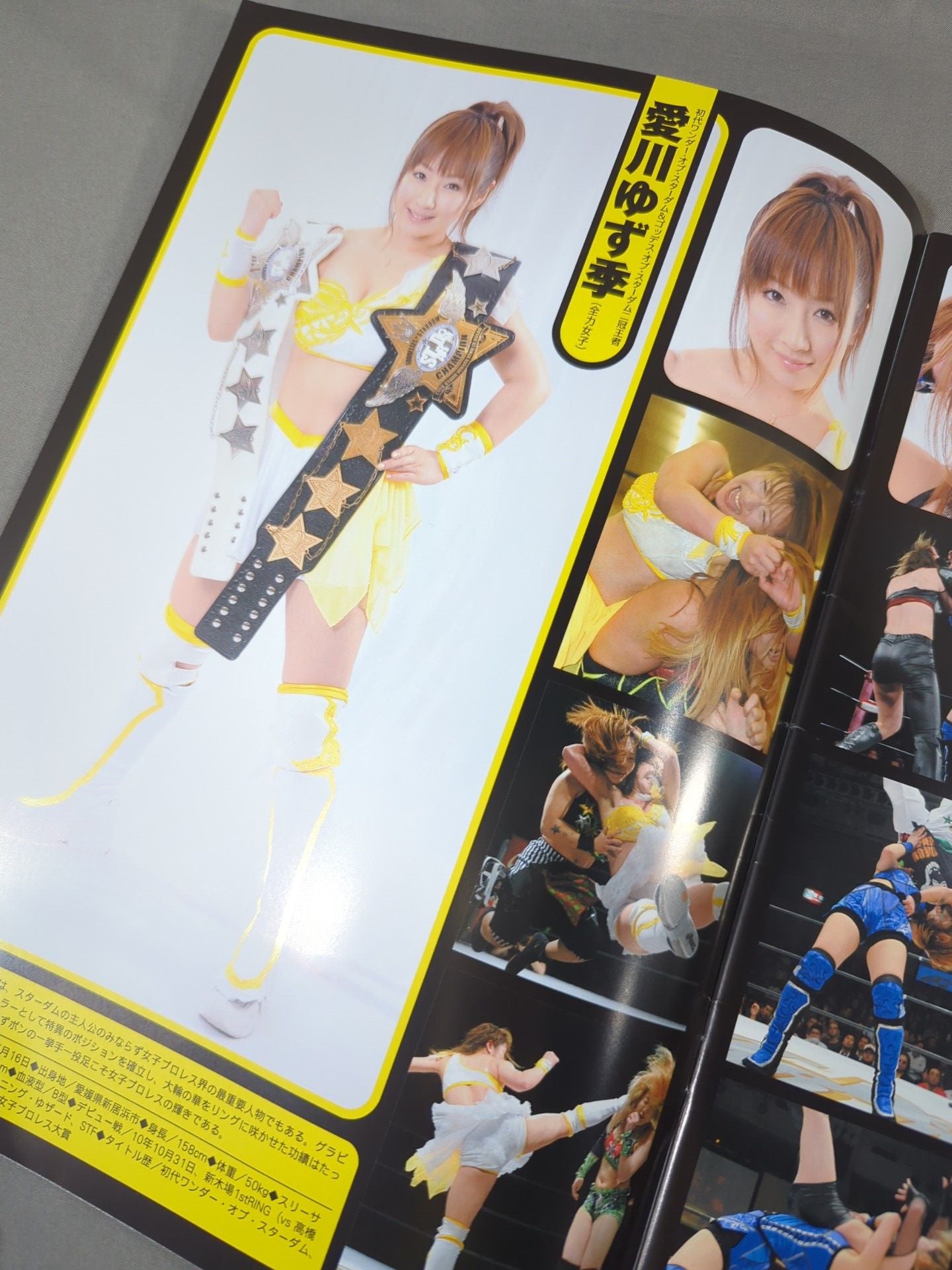 【須佐えり 直筆サイン入り】STARDOM OFFICIAL GUIDE BOOK Vol.17