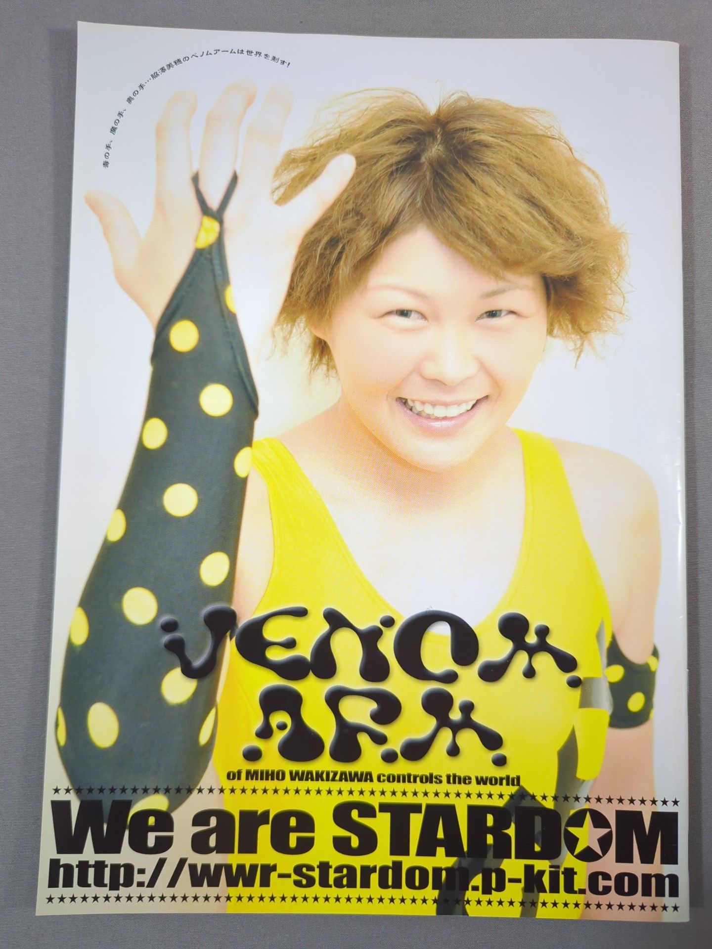 なつぽい 直筆サイン入り スターダムポートレート(H-7) – 闘道館