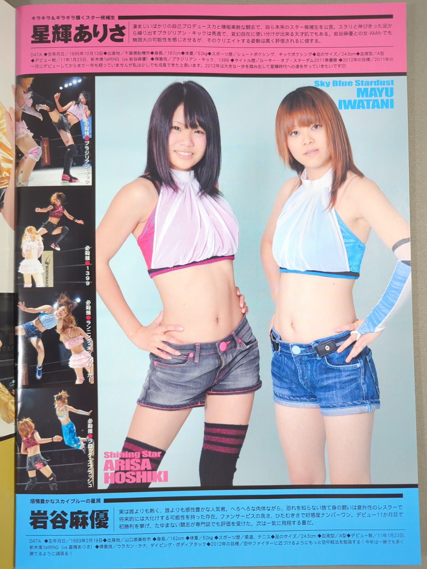 STARDOM OFFICIAL GUIDE BOOK Vol.9