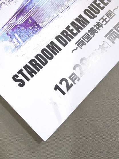 STARDOM OFFICIAL GUIDE BOOK Vol.144