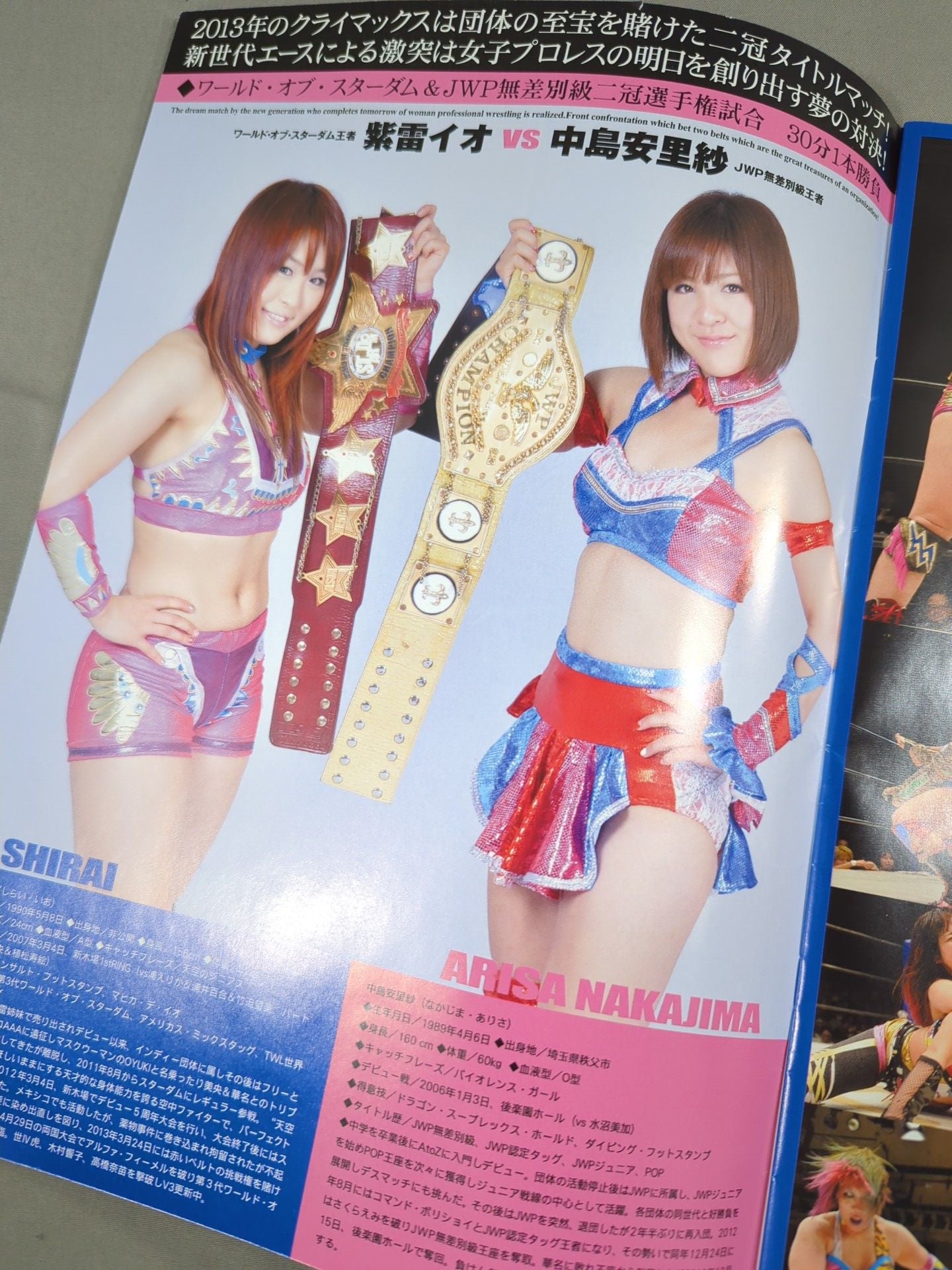 STARDOM OFFICIAL GUIDE BOOK Vol.40