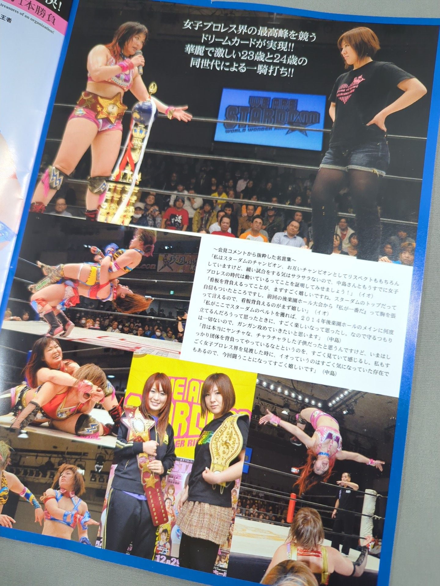 STARDOM OFFICIAL GUIDE BOOK Vol.40