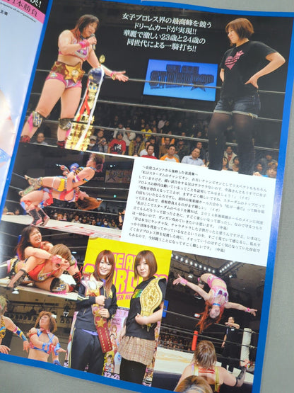 STARDOM OFFICIAL GUIDE BOOK Vol.40