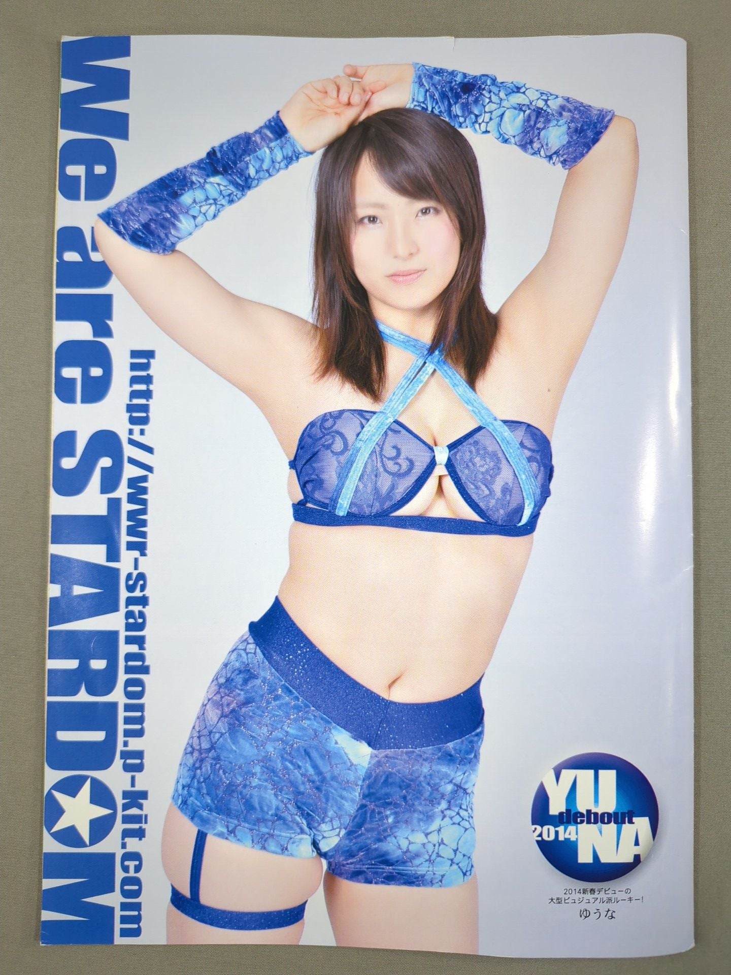 STARDOM OFFICIAL GUIDE BOOK Vol.40