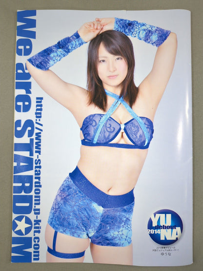 STARDOM OFFICIAL GUIDE BOOK Vol.40