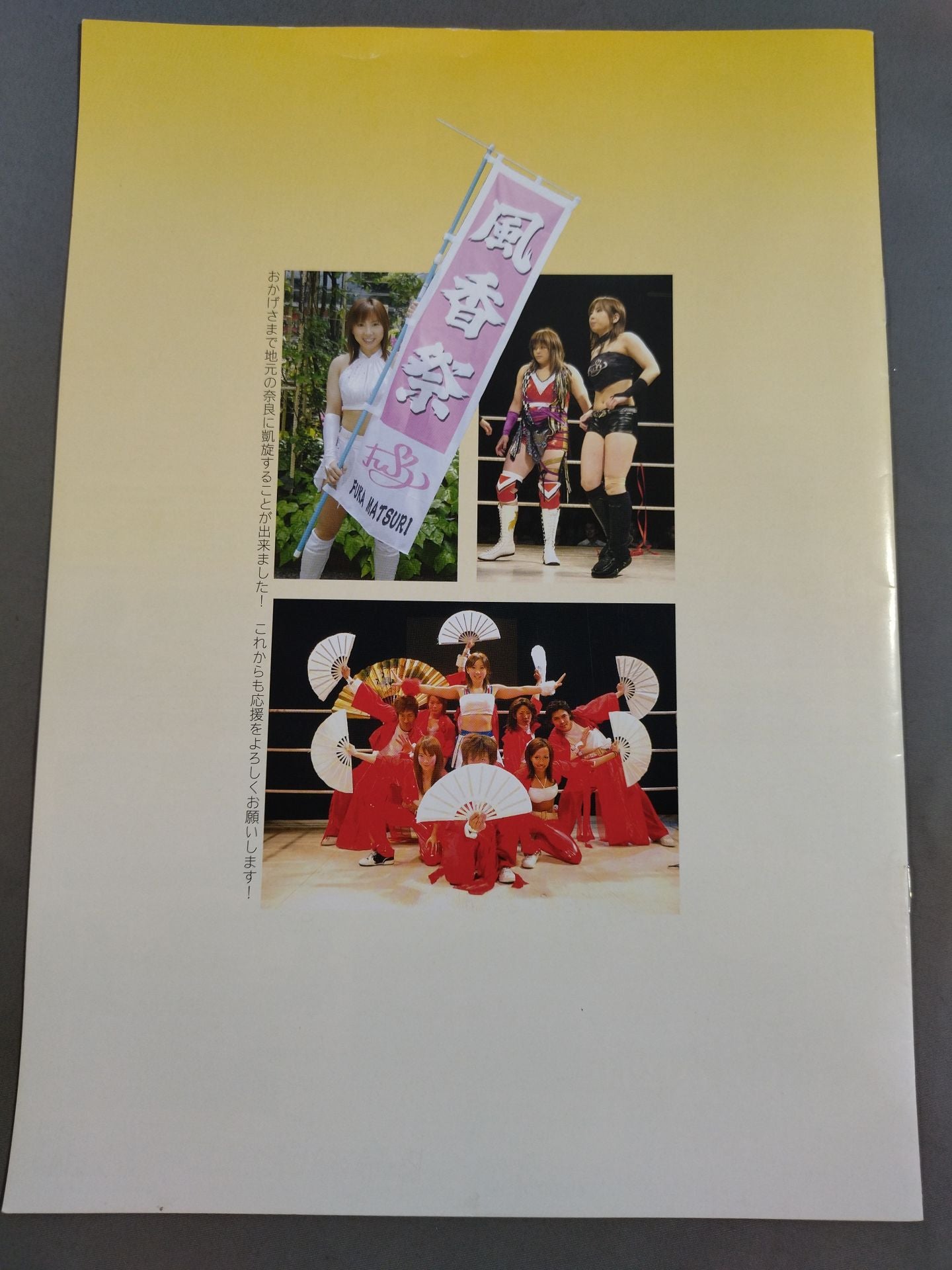 Fuka  Festival 5 ~Fuka 's Triumphant Return to Nara~