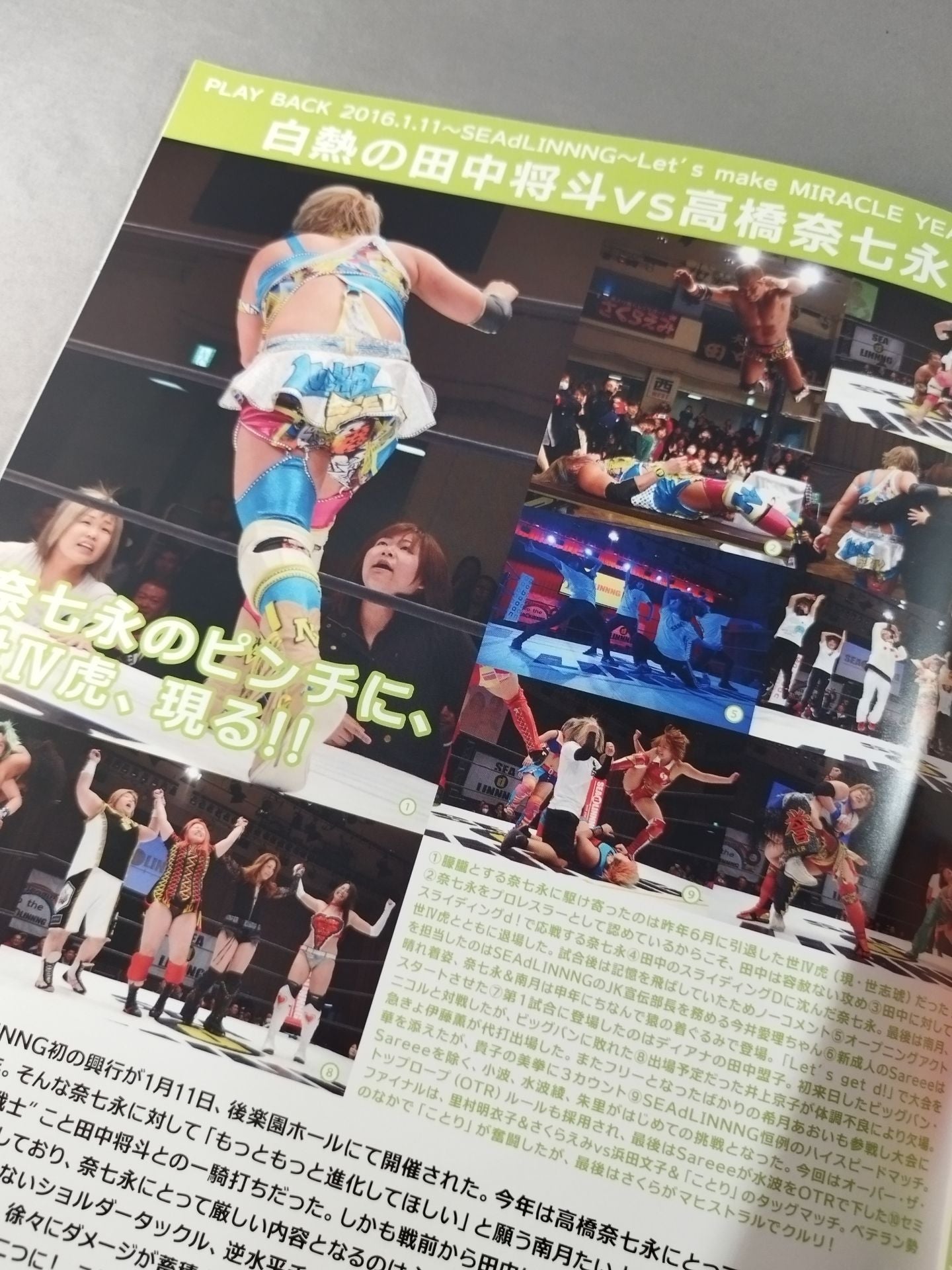 SEAdLINNNG / Official guidebook Vol.4