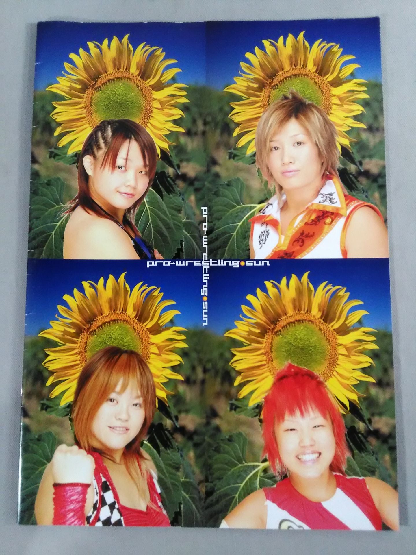 プロレスリング・サン 公式パンフレット
