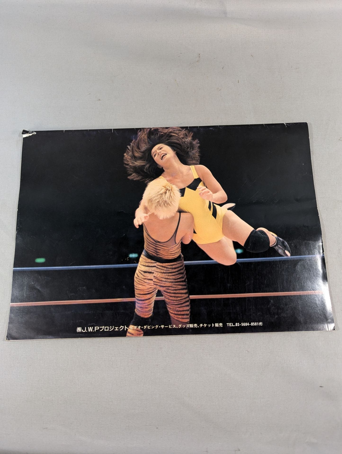 Japan Women's Pro Wrestling / The JWP Vol.5