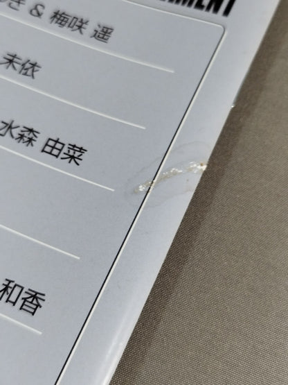 Actwres girl'Z アレレスガールズ Vol.24