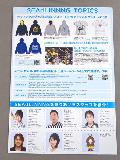 SEAdLINNNG / 9th MATCH MIRRORS