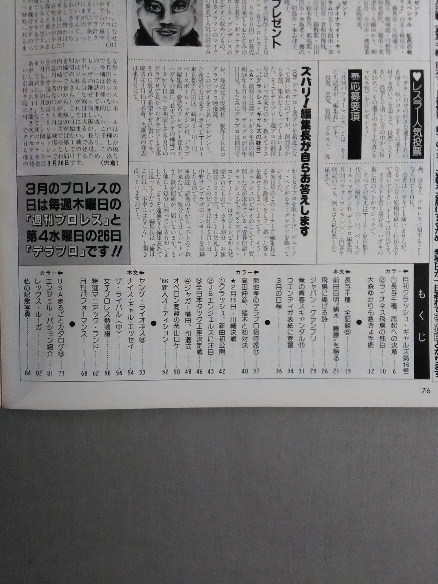 Deluxe Pro Wrestling April 1986