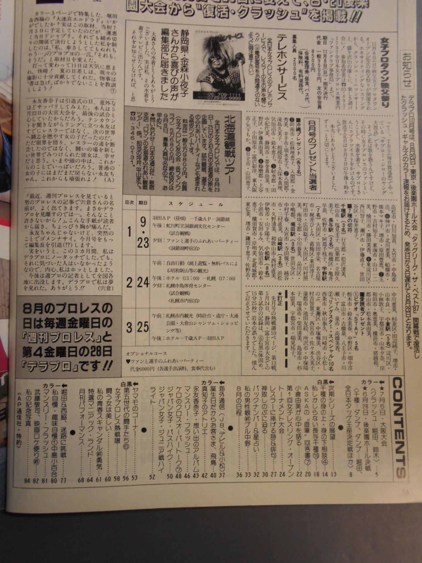 Deluxe Pro Wrestling September 1987 issue