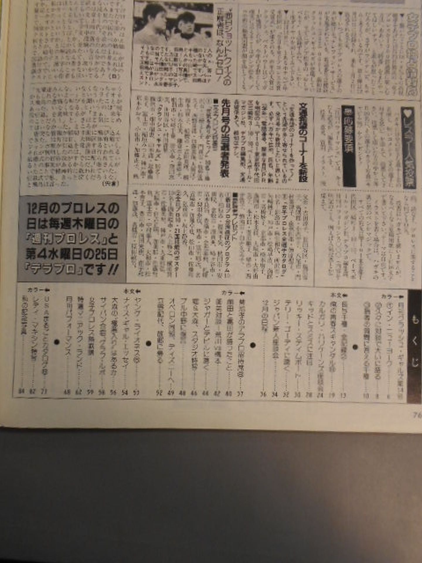 Deluxe Pro Wrestling January 1986 issue