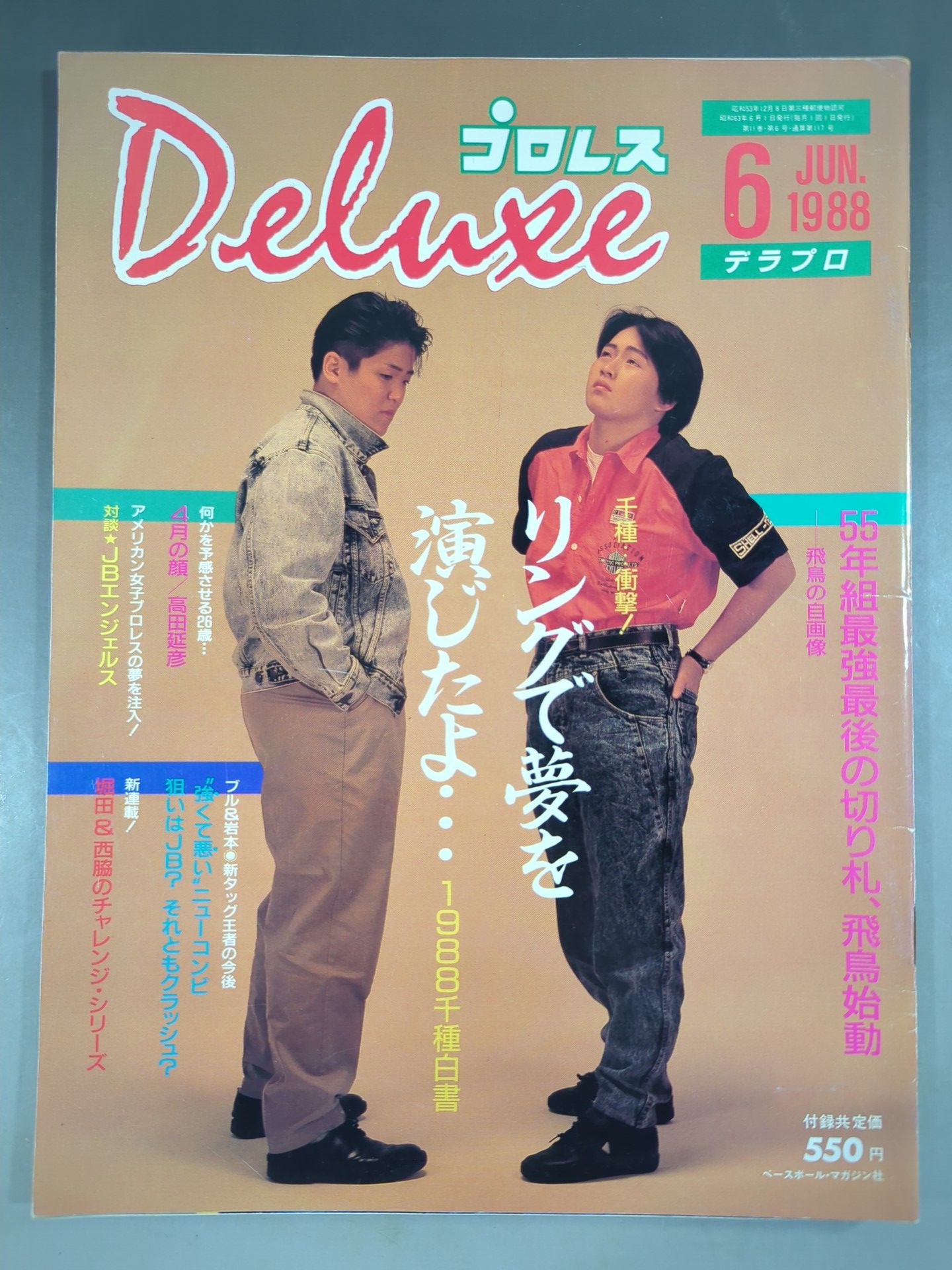 Deluxe Pro Wrestling June 1988