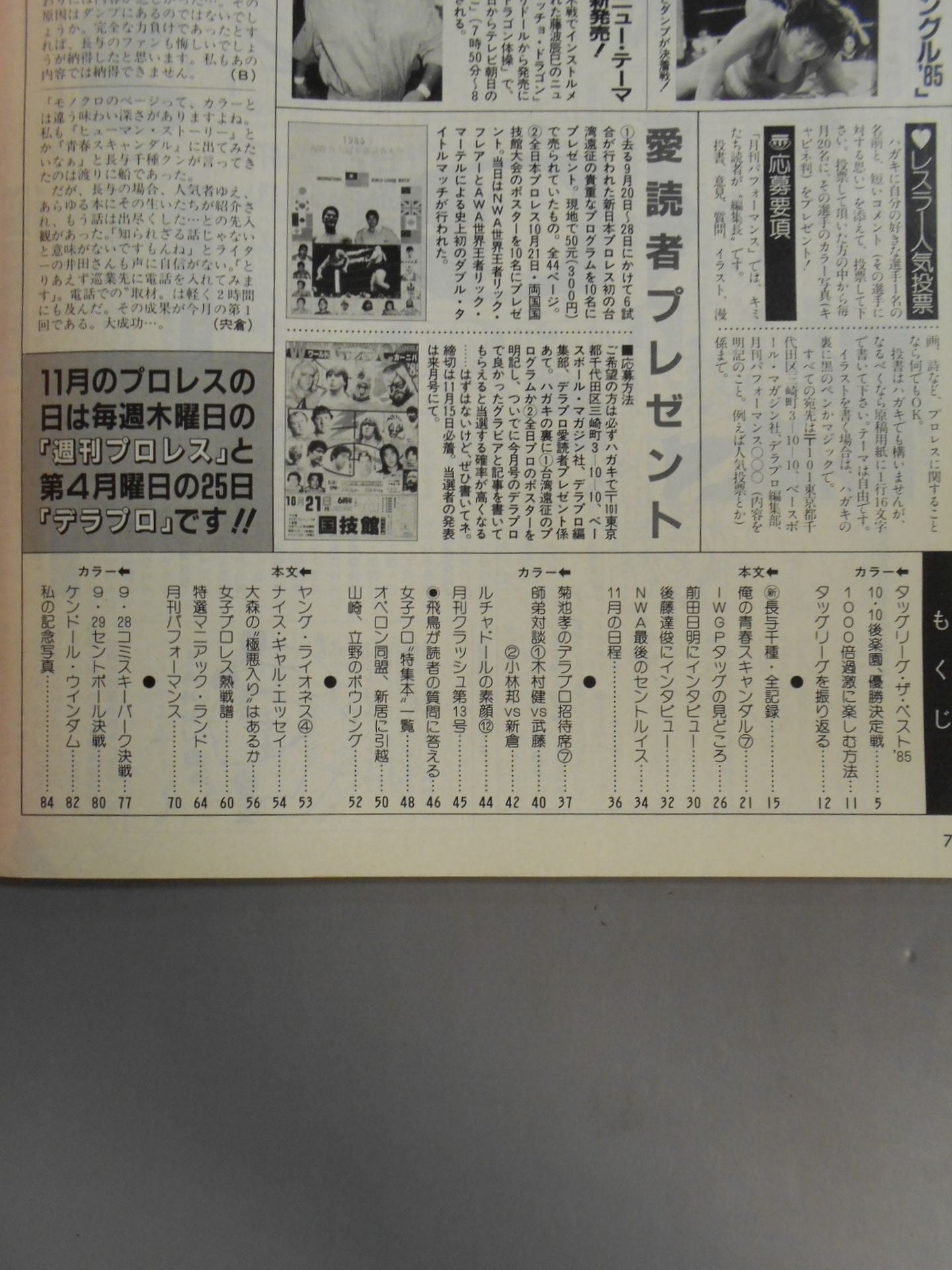 Deluxe Pro Wrestling December 1985