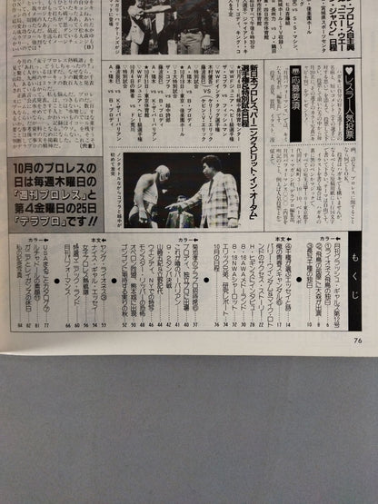 Deluxe Pro Wrestling November 1985