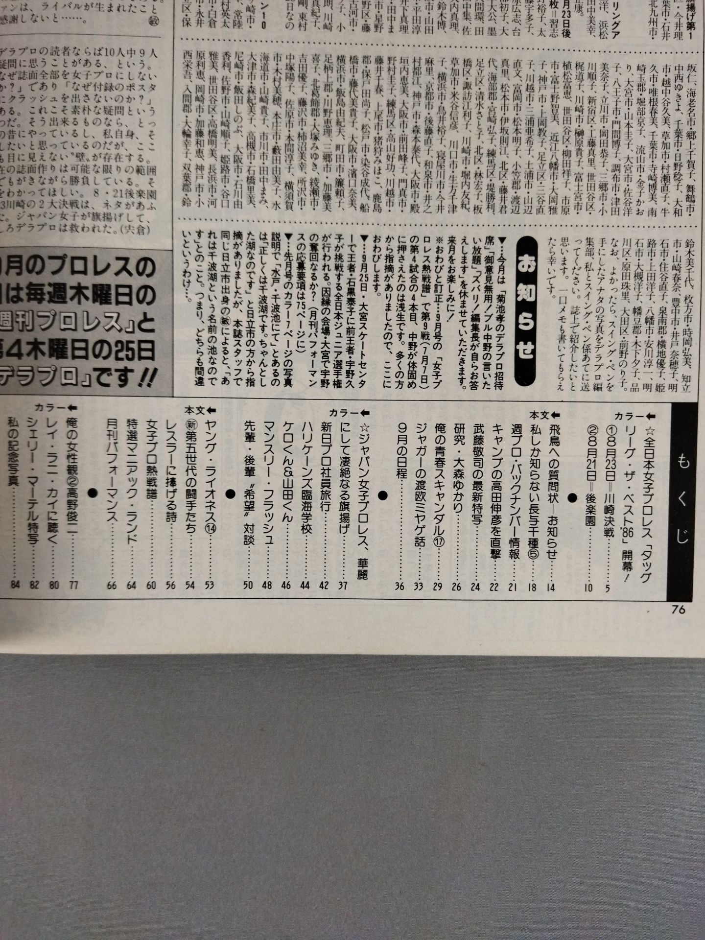 Deluxe Pro Wrestling October 1986