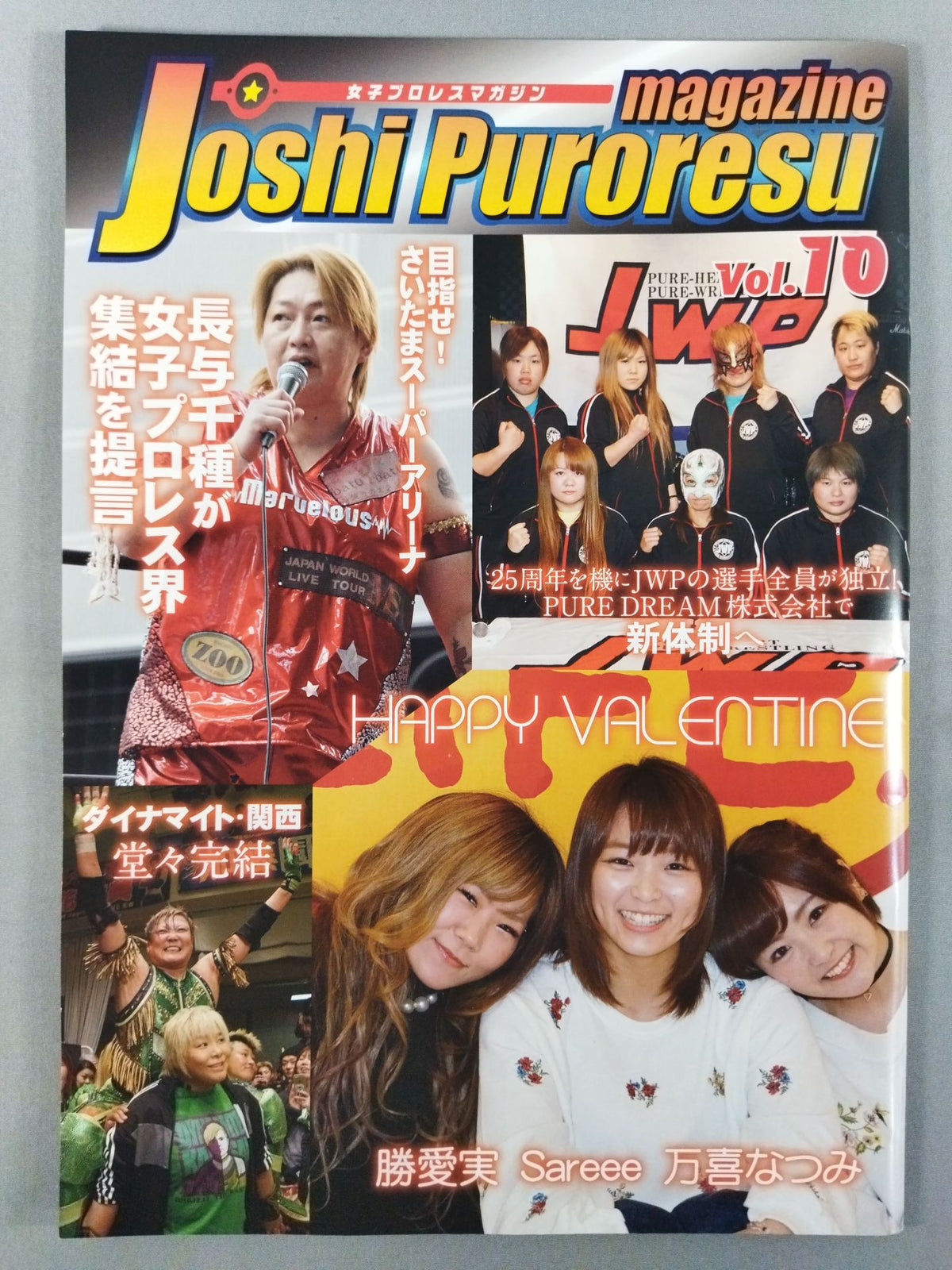 女子プロレスマガジン Vol.10