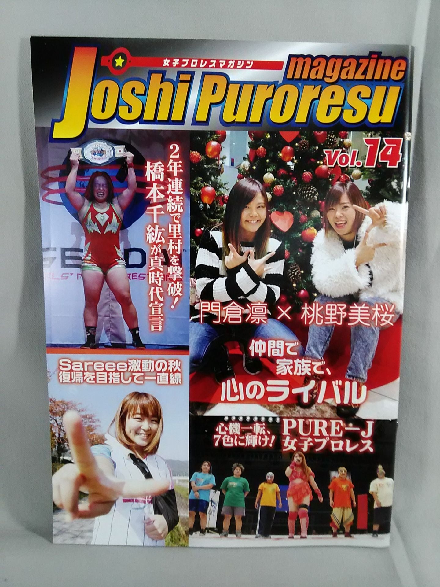 Women's Pro Wrestling Magazine Vol.14